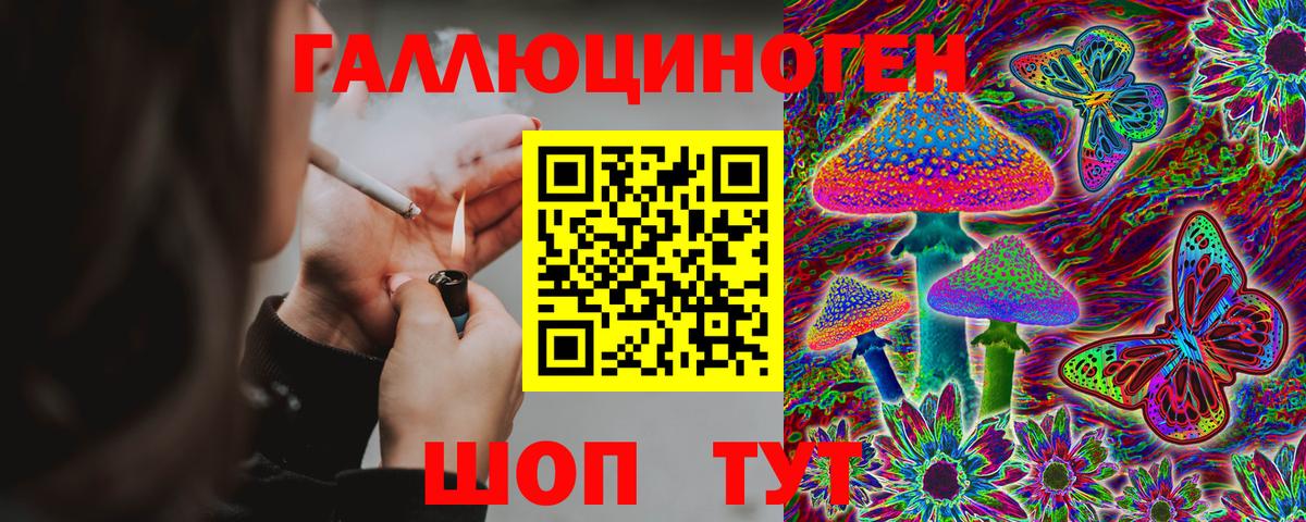 Галлюциногенные грибы Psilocybe  Вход с VPN  Северобайкальск  Псилоцибиновые грибы мицелий 