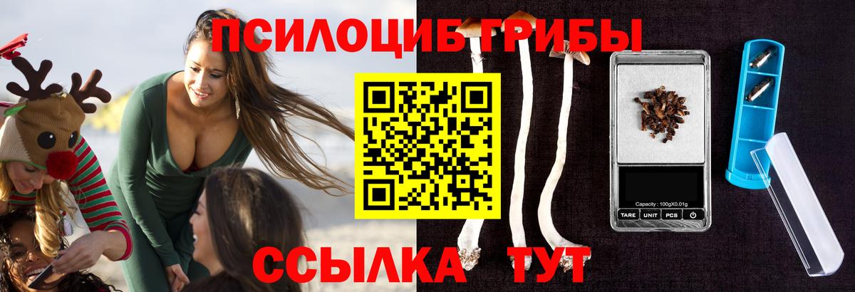 Галлюциногенные грибы Psilocybine cubensis Северобайкальск